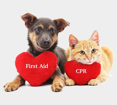 Pet CPR 01.JPG