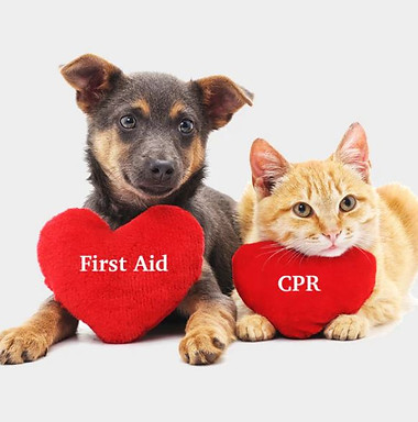 Pet CPR 01.JPG