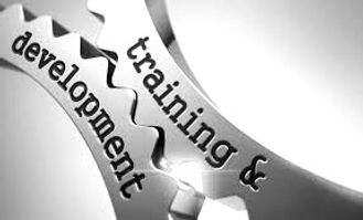 training and development appearing like gears to demonstrate how things work together