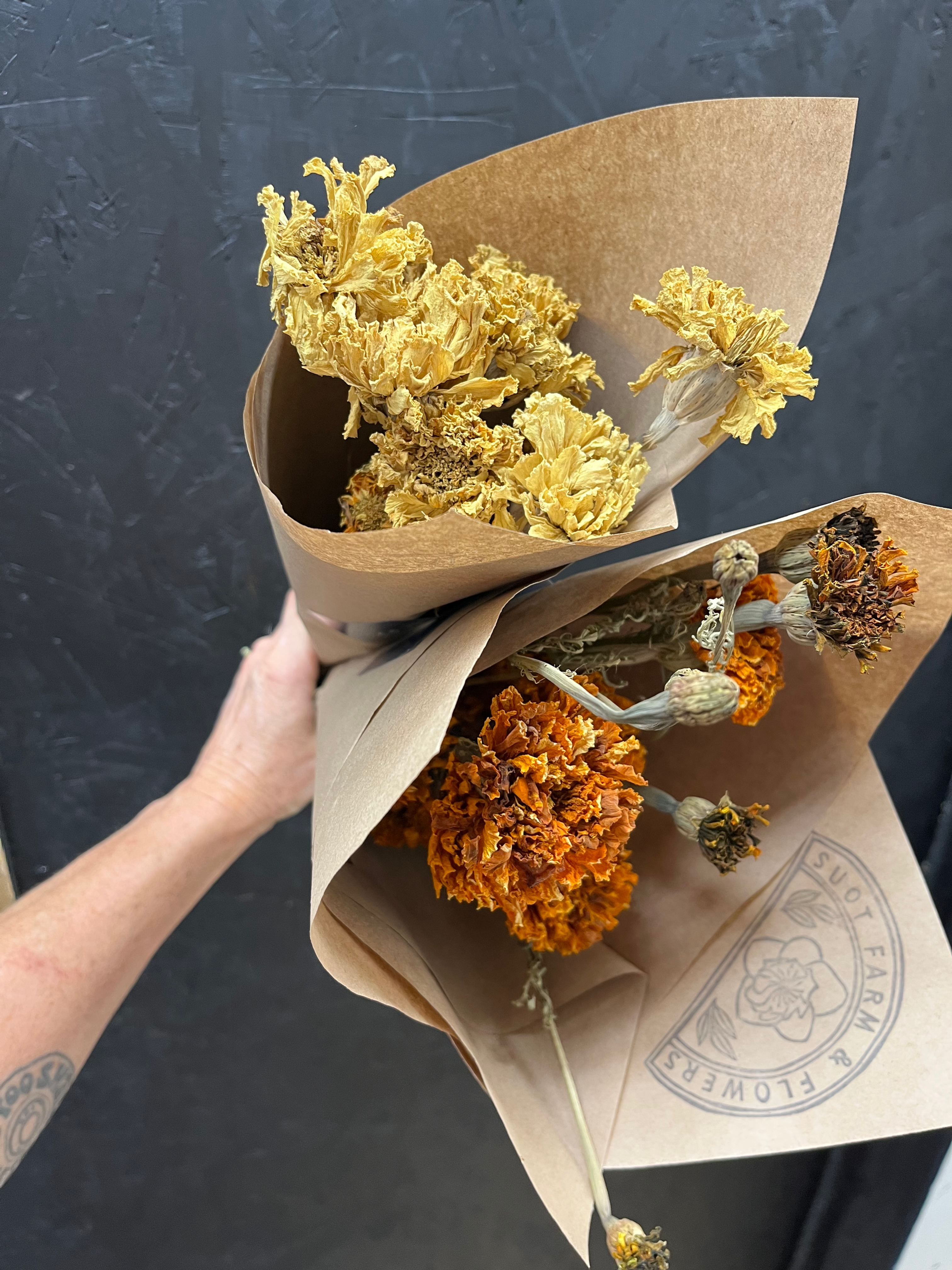 Everlasting Marigold