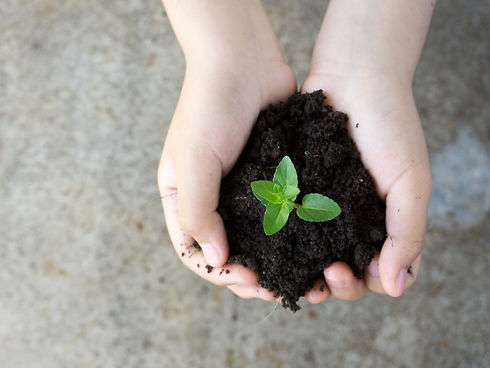 Child's hands holding a plant in soil (decorative, but also representing growth)
