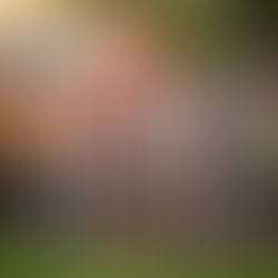 Raising Chickens 101: A Suburban Mom's Guide