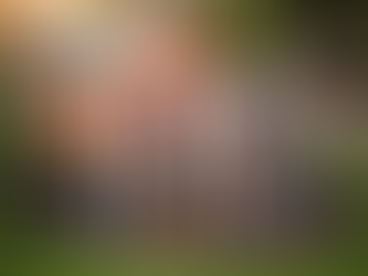 Raising Chickens 101: A Suburban Mom's Guide