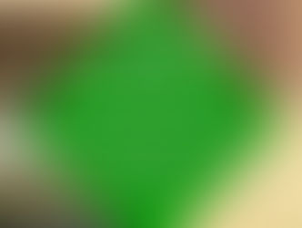 Twentse voorouderdag in Vriezenveen