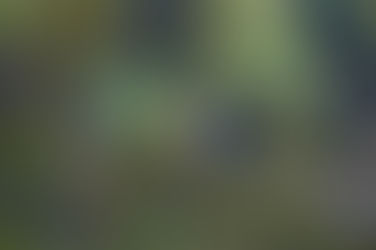 Forever Waiting, and I am losing it 