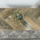 Thumbnail: The Driftwood