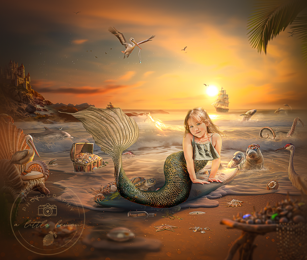 She Sells Seashells final