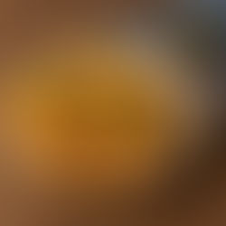 Gołąbki (gefüllte Kohlrouladen) mit Kräuterreis & Gemüsefüllung