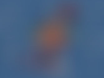 Sorghum Report: Fall Edition