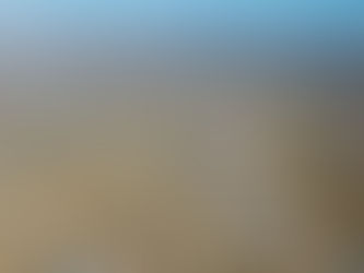 Growing Up Under the Southern California Sky: A Story of Home, Change, and Why We Finally Left