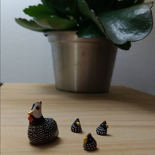 Minhas micro galinhas Dángola