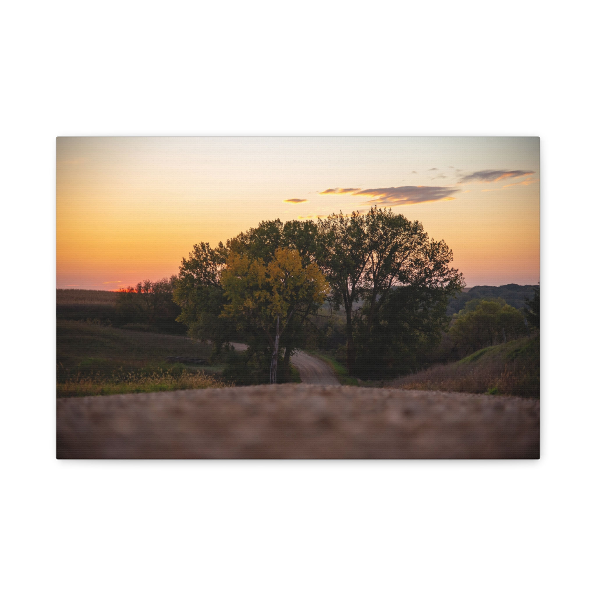 Golden Hour Lane Canvas Print