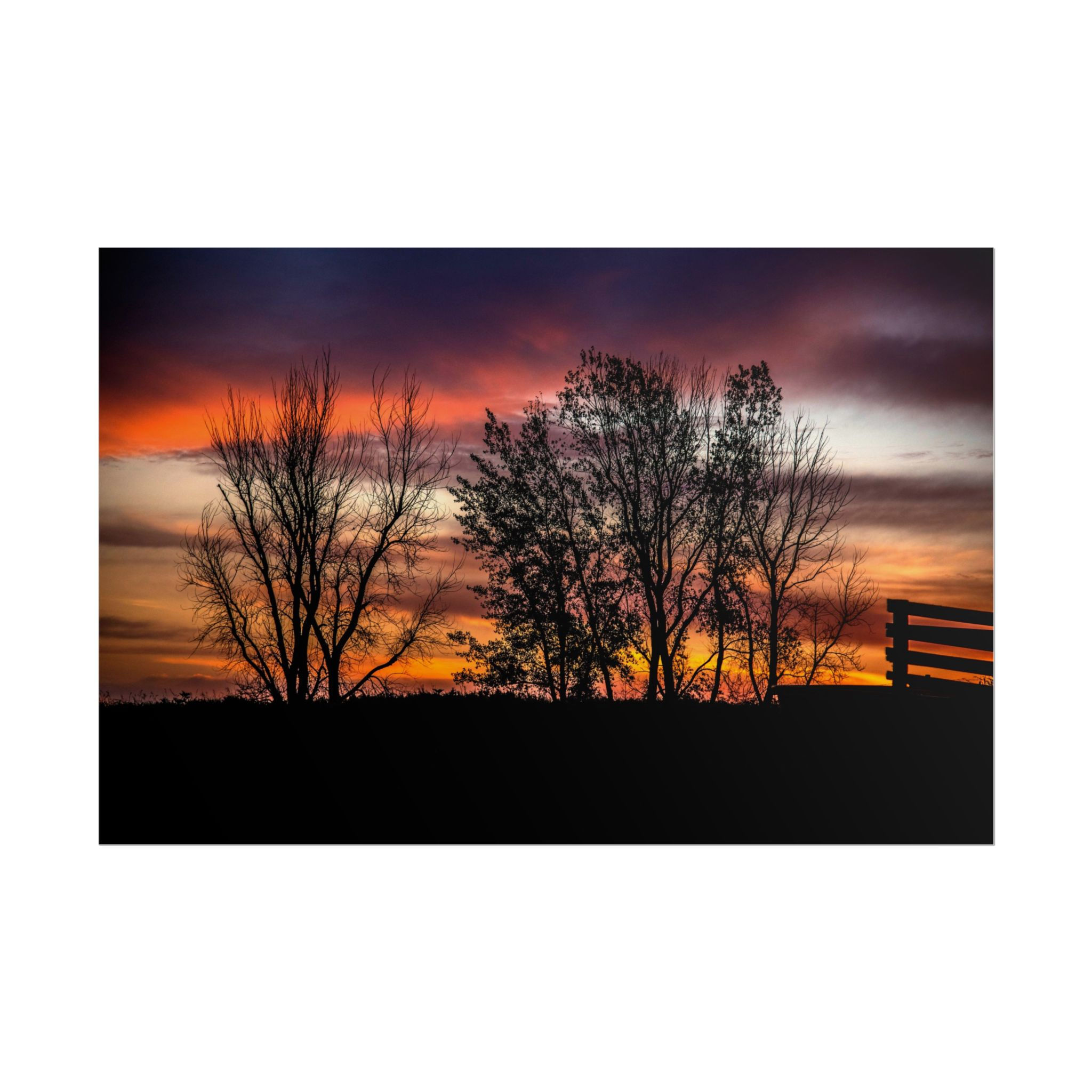 Tree Line at Dusk – Fine Art Photography Print