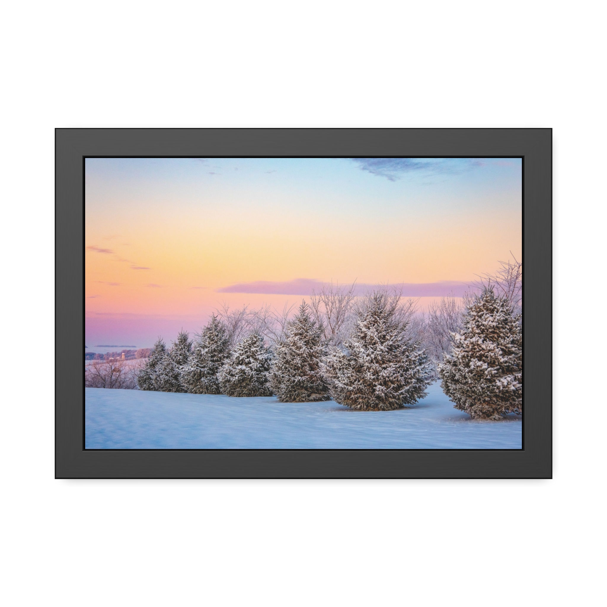Pastel Pines Framed Print