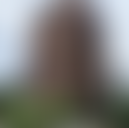 더존비즈온, ERP 업고 AI로 날개…EQT 체제 속 사업 재편