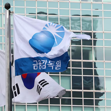 IFRS 18호 도입 앞두고… 금감원, 사전 주석공시 모범사례 마련