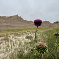 IMG_3191.JPEG