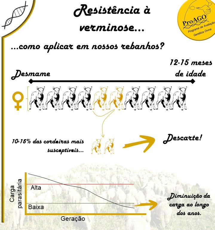 Resistência_a_veminose.jpg