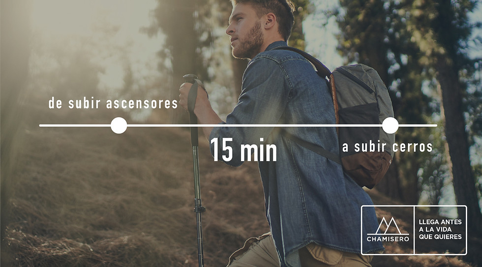 chamisero-7.jpg