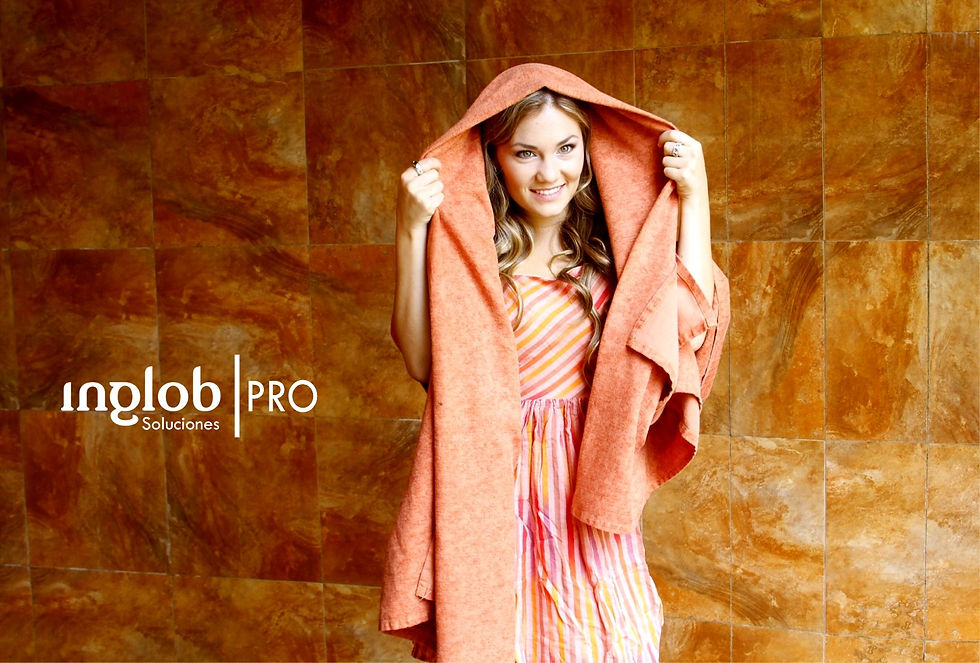 Modelos Inglob Studio Pro