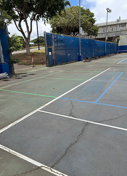 court1.jpeg
