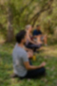 Pessoas meditando na natureza em retiro de mindfulness