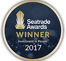 IDESS IT Investment in People" Award