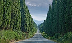 Strada-del-vino-Bolgheri.jpg