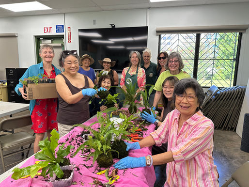 KOKEDAMA AT FOSTER BOTANICAL GARDEN - JANUARY 20, 2026
