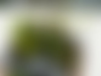 SUCCULENT ROCK GARDEN CLASS AT FOSTER BOTANICAL GARDEN - FEBRUARY 17, 2026