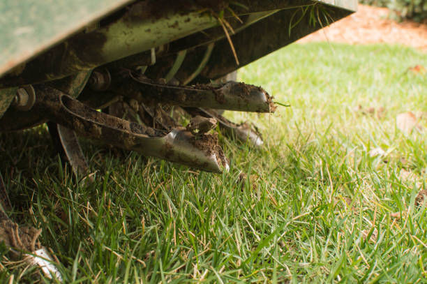 istockphoto-1293930244-612x612.jpg