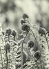 jaakko-kemppainen-k_AXt3VPSrw-unsplash_edited.jpg