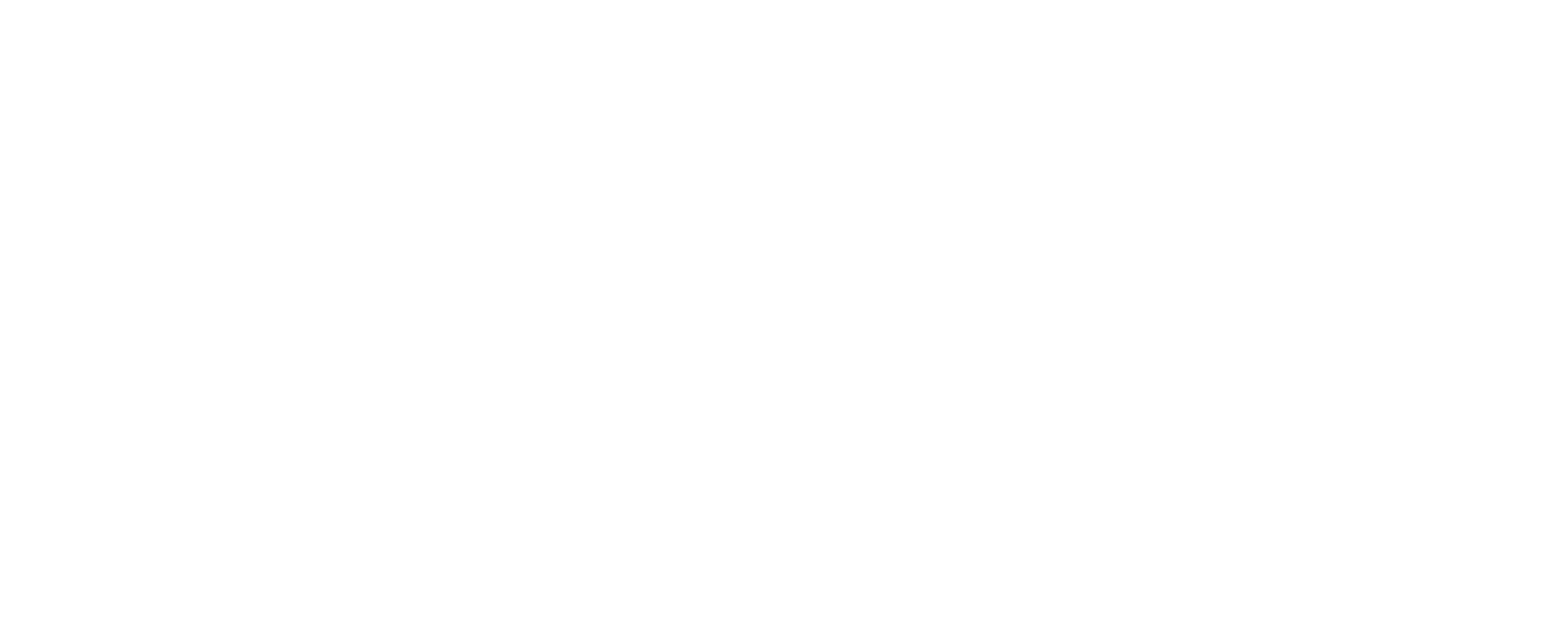 60x24,5 copia.gif