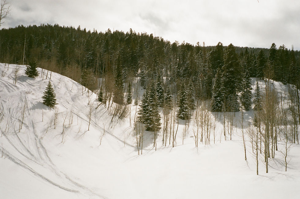 Agustina Mistretta - Awakening - AM Studio