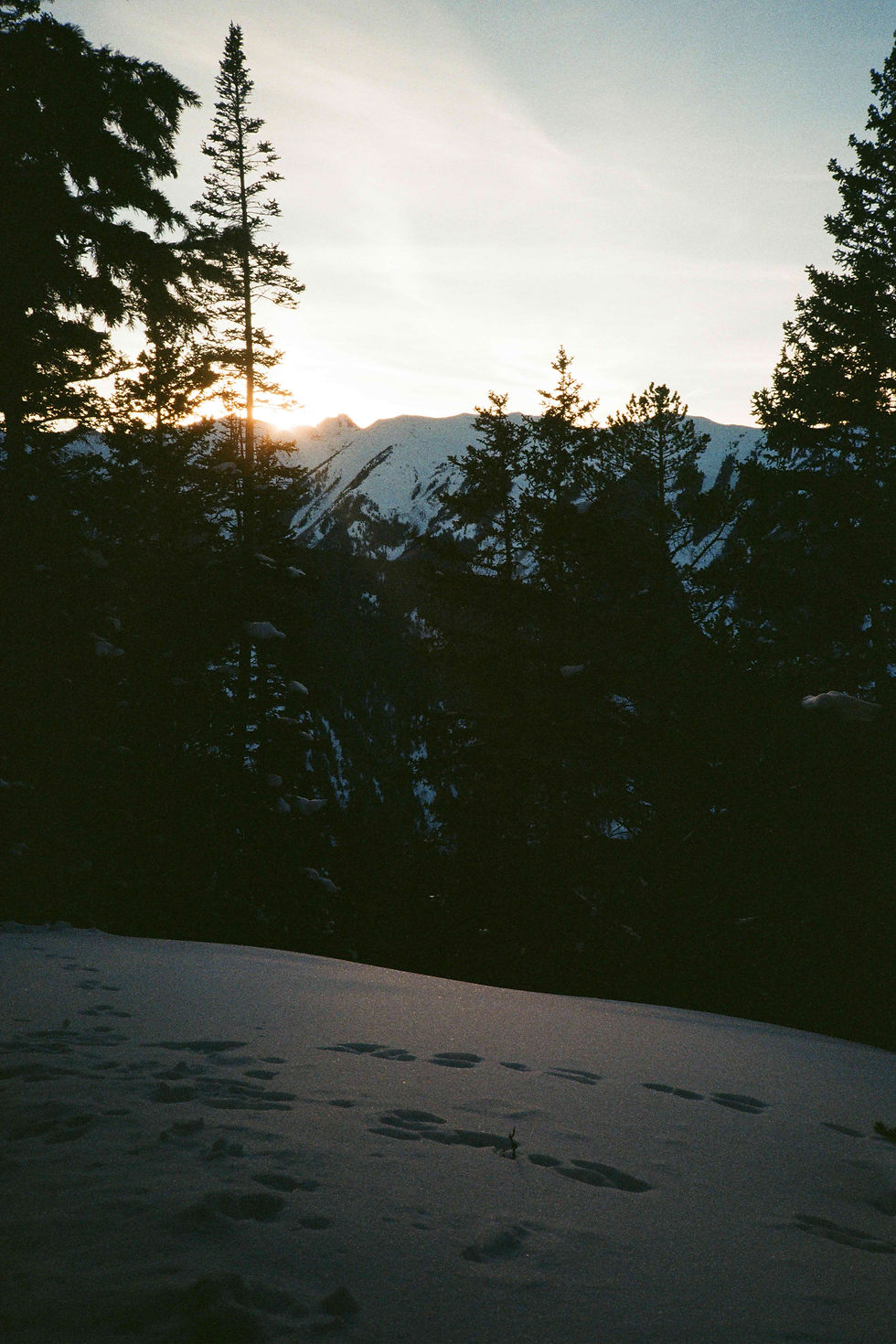 Agustina Mistretta - Transience - AM Studio