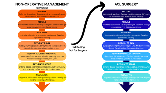 ACL Injuries: Do You Actually Need Surgery?