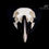 Thumbnail: Skeleton - White-necked Raven