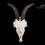 Thumbnail: Skeleton - Domestic Goat