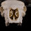 Thumbnail: Skull - European mouflon
