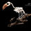 Thumbnail: Skeleton - Crowned Hornbill