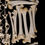 Miniatura: Skeleton - African Lion