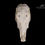 Miniatura: Skeleton - Red Lechwe