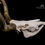 Miniatura: Skull - Domestic Cattle