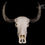 Miniatura: Skeleton - Water Buffalo