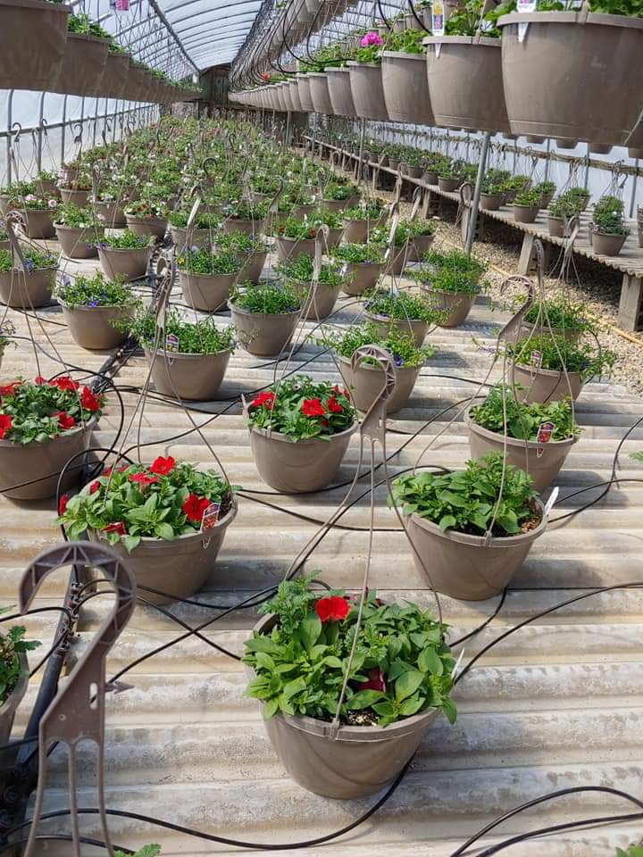 Home Penzien's Farm & Greenhouses