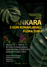 Flora Tour - School Project