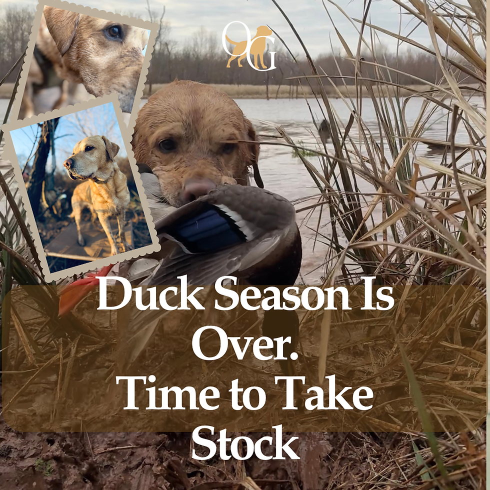 The End of Duck Season Isn’t the End — It’s an Opportunity to Build What Matters