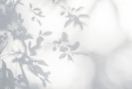 Leaves Shadow _edited.jpg