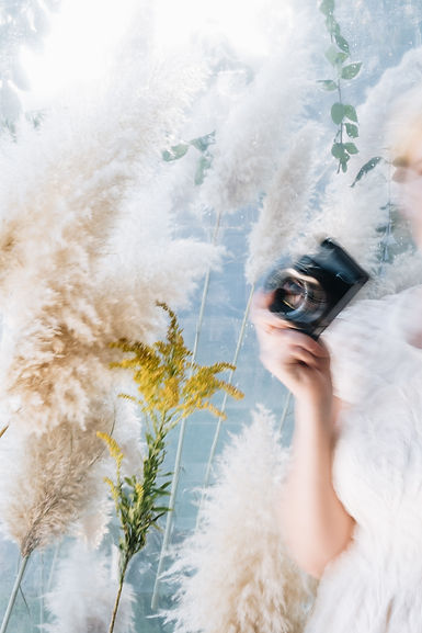 BrandifyHQ x Evie S. _ Modern Art Websit