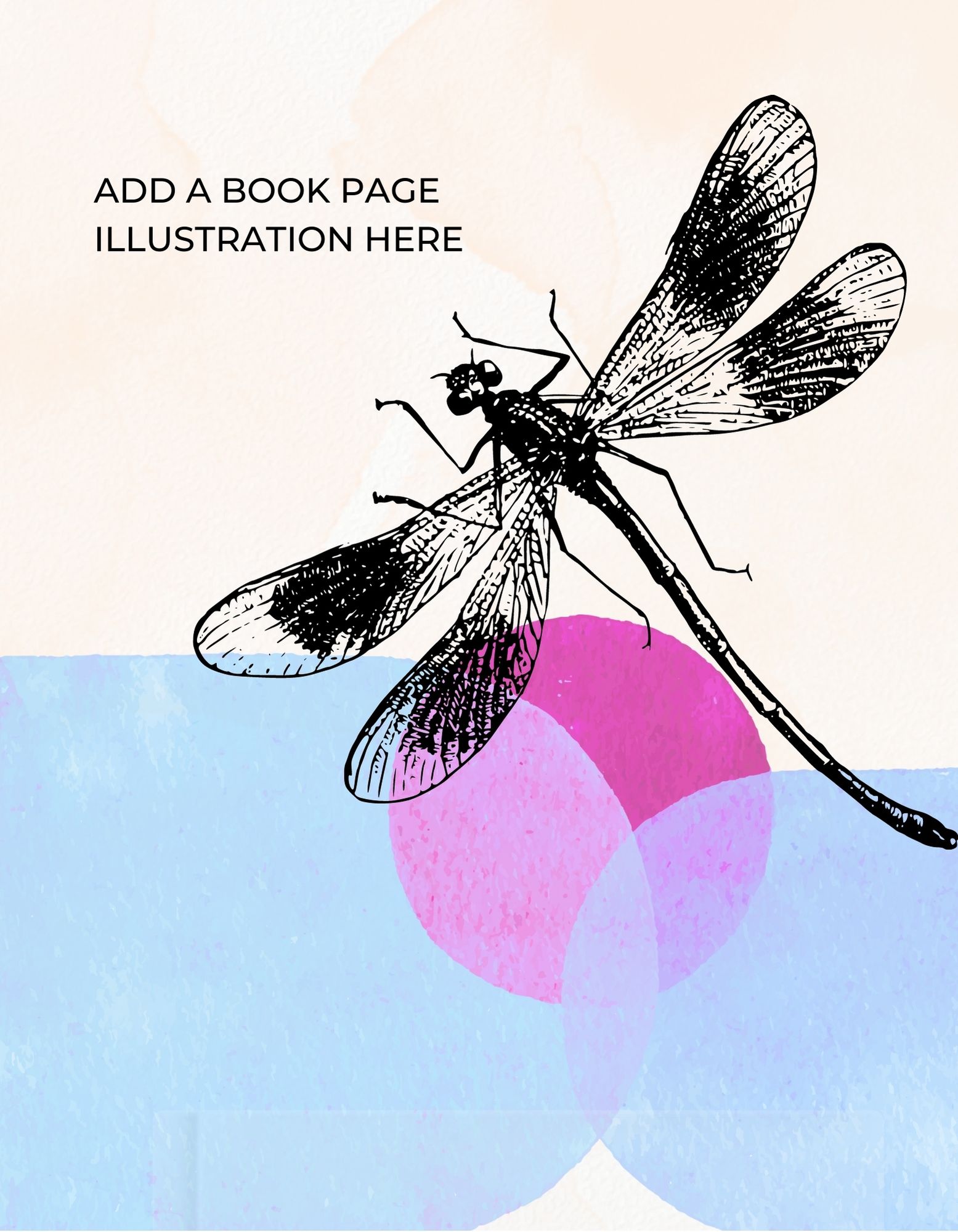 Brandify Author Illustrations5.jpg